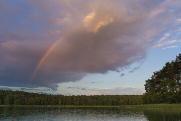A reflection of forest and shore in a calm lake