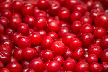ed berry cranberries lingonberries background