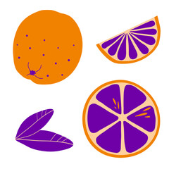 Set of whole and sliced lime in flat style on white background.