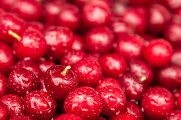 ed berry cranberries lingonberries background
