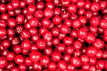 ed berry cranberries lingonberries background