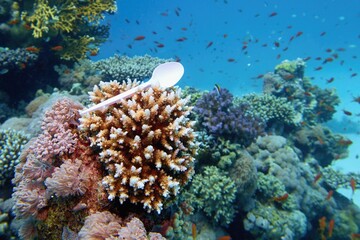 Plastic spoon held in the hard coral.  World ocean contaminated by  plastic. Environment pollution...
