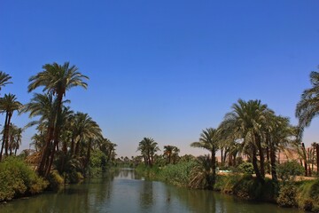 Fototapeta na wymiar Calm river surrounded by trees and palms with reflection on water in a small village in Assyut Egypt