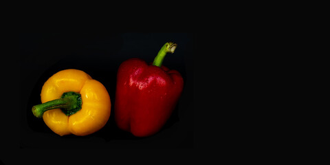 Panorama frische Paprika isoliert vor schwarz mit Wassertropfen und Textfreifeld