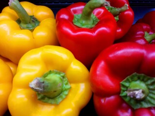 red and yellow peppers in showcased ,uae .