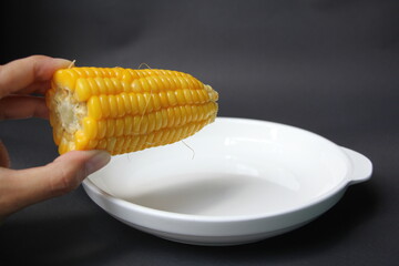 Corncob on hand, on a white plate, yellow corn Ripen by boiling, corn is popular throughout the world as a staple food, providing energy, carbohydrates, natural products.