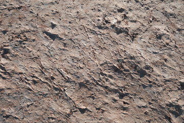 Dirty dry land surface texture