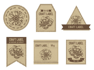 Craft labels vintage design with illustration of anemone