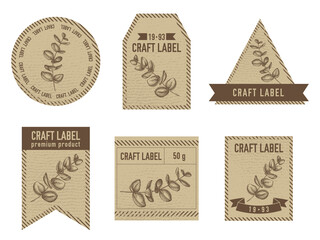 Craft labels vintage design with illustration of eucalyptus © Sad