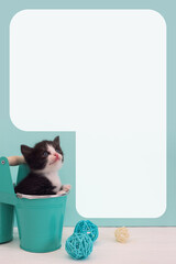 Cute, sweet little kitten sits in a turquoise flower pots on a blue background. Beautiful charming cat. Domestic animal, home pet, copy space.
