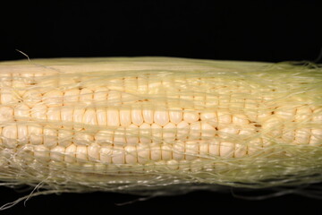 White Hokkaido Corn on a black background with corn silk