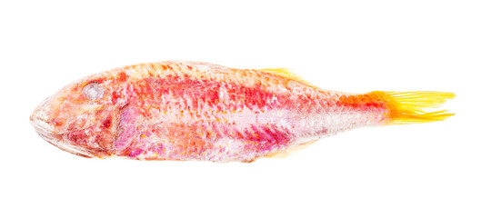 quick-frozen red mullet fish isolated on white background