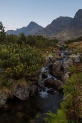 Fototapeta na wymiar Mountain stream and small cascade in Tatras