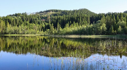 Fototapeta premium Pine forest and sky reflected in the lake. Mountain and spruce forest and reflection on a background of blue sky, in Norway.