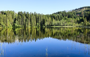 Obraz premium Pine forest and sky reflected in the lake. Mountain and spruce forest and reflection on a background of blue sky, in Norway.