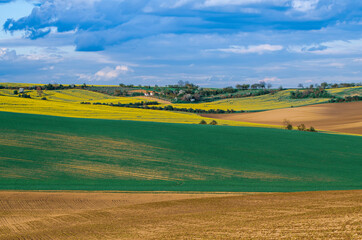Fototapeta premium Rural spring landscape