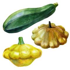 Watercolor illustration, set of squash. Hand drawn watercolor painting on white background. Isolated eco food illustration on white background.