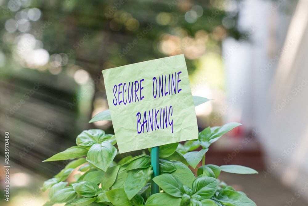Poster text sign showing secure online banking. business photo text protect digital bank for internet trans