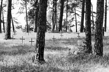 Crosses of the dead soldiers