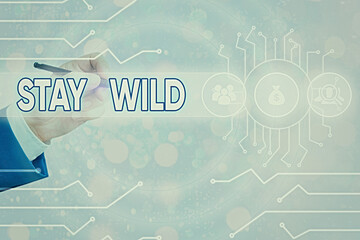 Conceptual hand writing showing Stay Wild. Concept meaning end up being extremely energetic...
