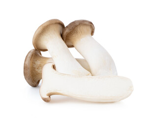 King oyster mushroom Pleurotus eryngii isolated on white background