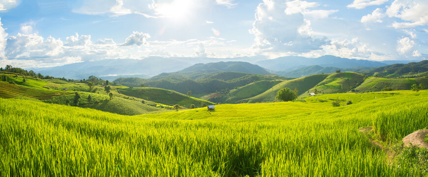 Panorama Green rice field with mountain background at Pa Pong Piang Terraces Chiang Mai, Thailand