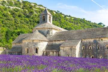 The lavender fields in front of Abbaye de Senanque, in Provence, France.