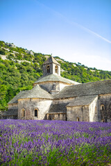 The lavender fields in front of Abbaye de Senanque, in Provence, France.