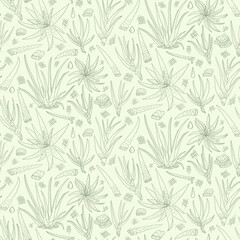 Fototapeta premium Aloe vera hand drawn seamless pattern. Vector illustration. Healing and cosmetics herb.
