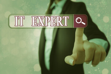 Conceptual hand writing showing It Expert. Concept meaning expertise when dealing with database...