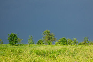 Fototapeta na wymiar evening landscape before a thunderstorm