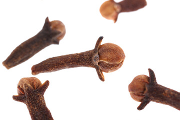 Cloves spice. Some dried cloves, macro close-up Isolated on white background, with a light shadow.