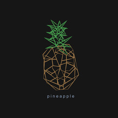 Pineapple fruit logo icon sign Abstract geometric creative design Modern children's style concept Fashion print for clothes apparel greeting invitation card picture banner poster flyer websites Vector