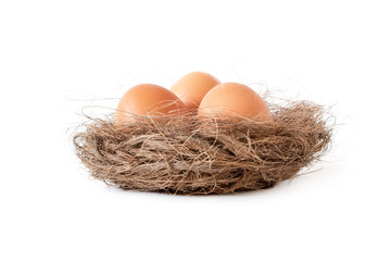 Three beige eggs in a nest on an isolated white background.