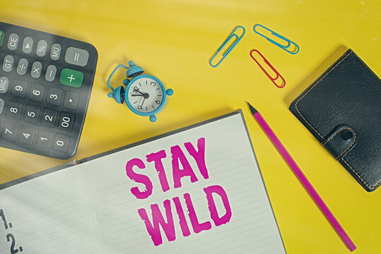 Handwriting text Stay Wild. Conceptual photo end up being extremely energetic throughout the entire day Open notebook wallet calculator clips pencil alarm clock color background