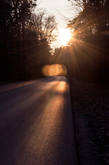 Colorful warm orange sunrise / sunset sun on the asphalt road / way in the dark black forest / park 