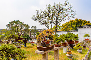 It's Nature of The Humble Administrator's Garden, a Chinese garden in Suzhou, a UNESCO World Heritage Site