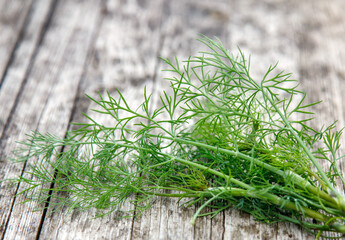 green dill on the table