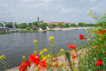 Fototapeta na wymiar Panoramic view over beach cafes, restaurants and camping site for campers at the downtown near Elbe river with red poppies flowers in Magdeburg, Germany