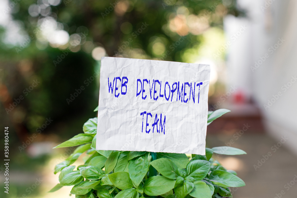 Poster conceptual hand writing showing web development team. concept meaning in control of all the processe