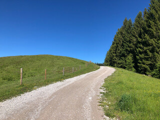 Leerer und Einsamer Bergweg in den Alpen. Wohin?