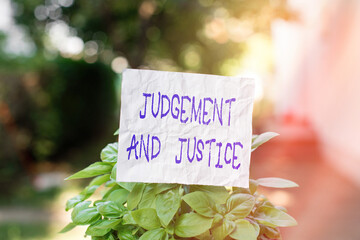 Conceptual hand writing showing Judgement And Justice. Concept meaning law court proceedings to present evidence and finalize decision Plain paper attached to stick and placed in the grassy land