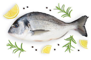 Fish dorado isolated on white background with clipping path and full depth of field. Top view. Flat lay
