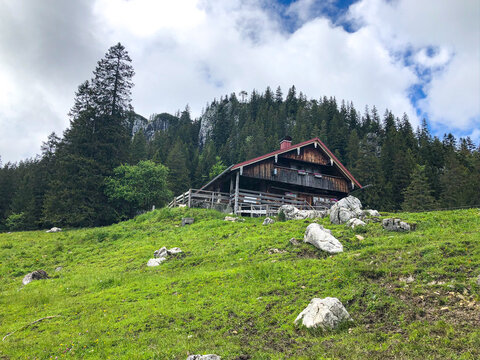 Alm in den bayrischen Alpen mit Wald im Hintergrund