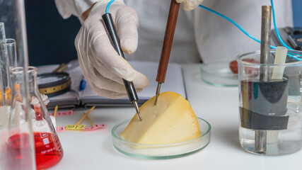Laboratory assistant at the workplace. Laboratory procedure for food safety, analysis of food...
