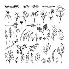 Vector set of elements with herbs, flowers, leaves and branches. On a white background, black outline, doodle style, scandinavian style, simple drawing. For design, creating cards, decoration