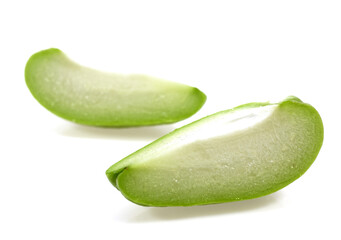 CHAYOTE sechium edule