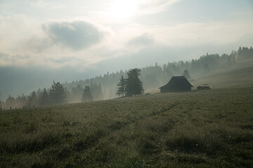 misty morning in the mountains