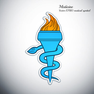 snake and torch outline color medicine symbol icon vector illustration