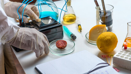 Food safety expert inspecting sausage in laboratory.